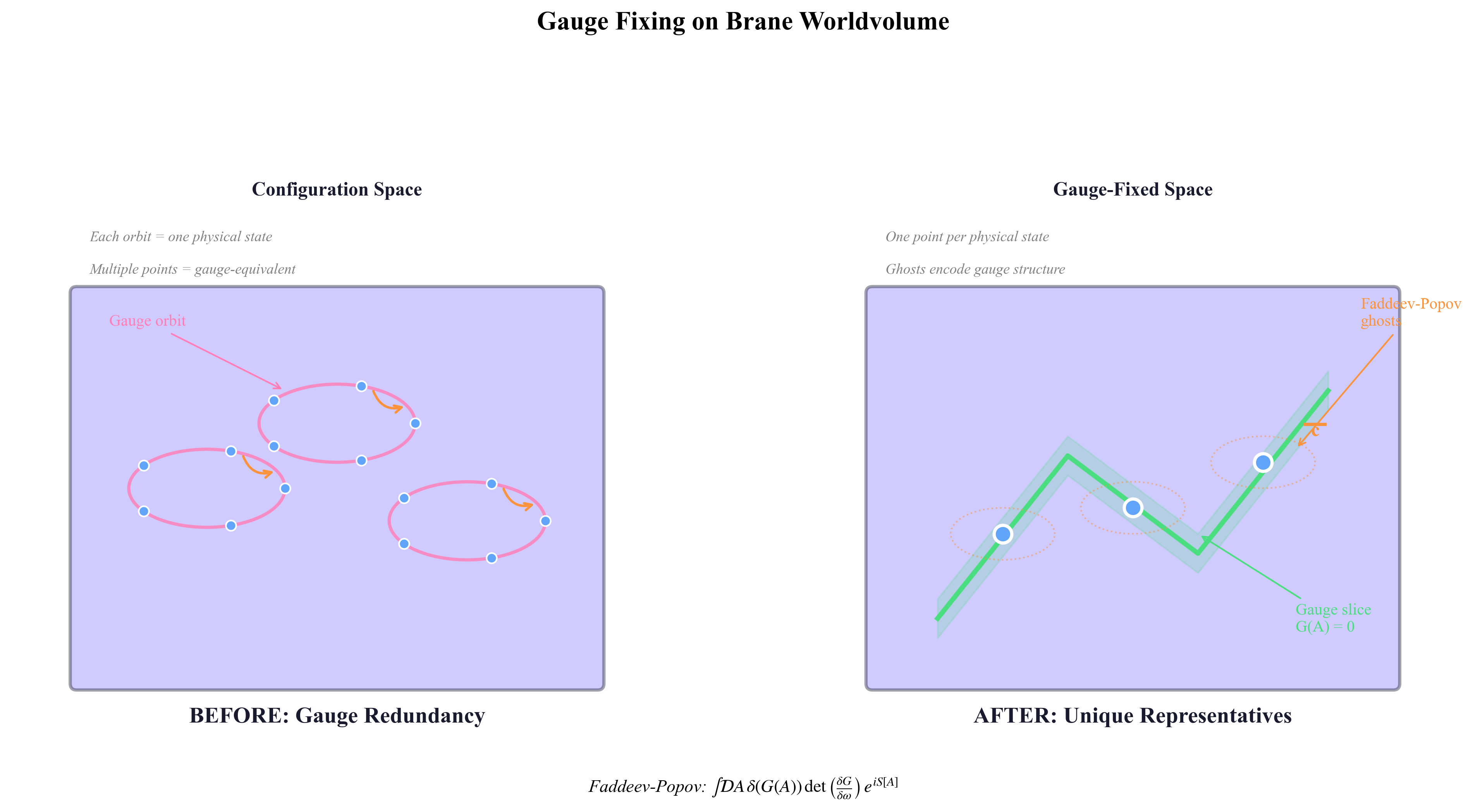 Branes Before/After Gauge Fixing